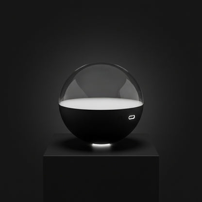 Memory Ball